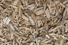 biomass boilers Pirnmill
